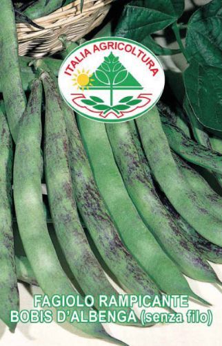 Semi Fagiolo Rampicante Maravilha De Veneza - Produzione Abbondante E Gialla - Foto 3