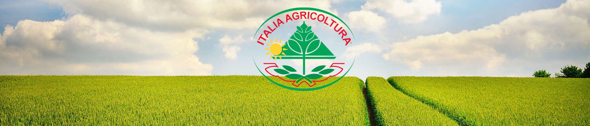 Italia Agricoltura Vendita e produzione Sementi