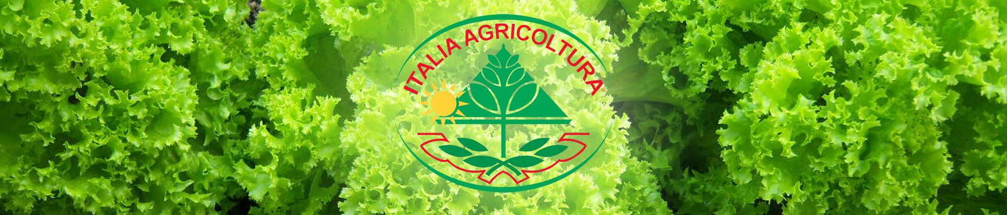 Italia Agricoltura Vendita e produzione Sementi