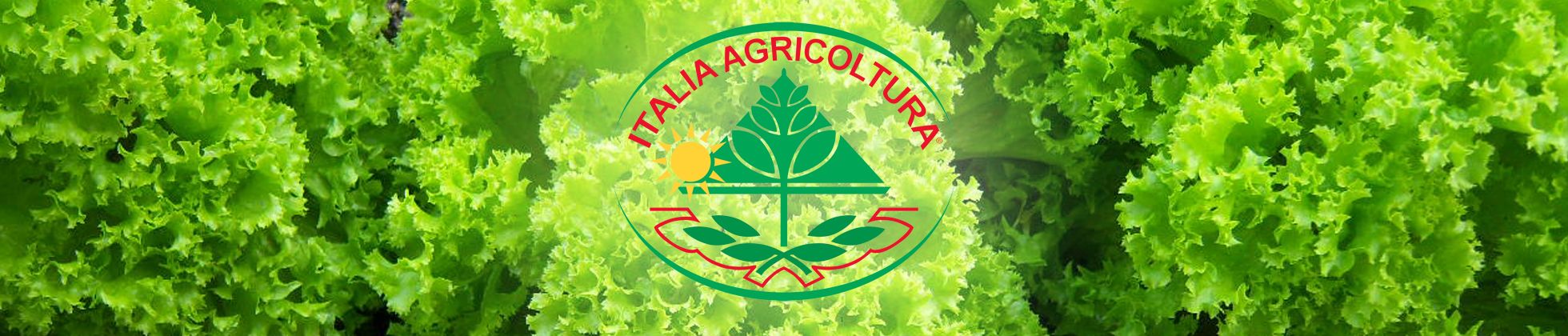 Italia Agricoltura Vendita e produzione Sementi